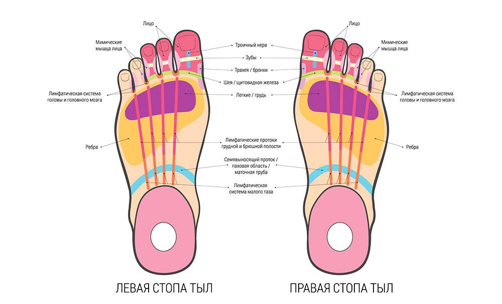 Стопы ног - точки органов: польза точечного массажа стоп