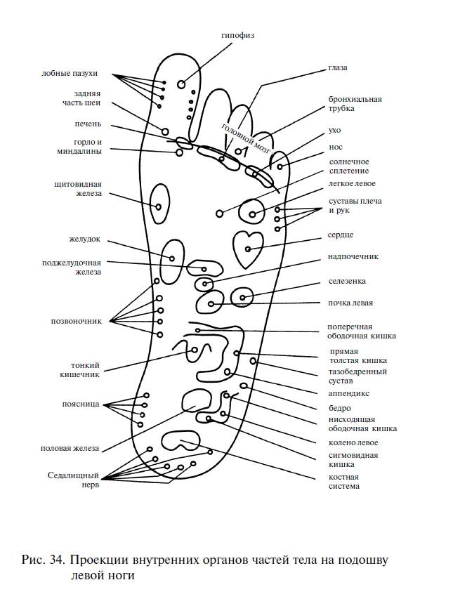 Активные точки на стопах ног, отвечающие за органы человека