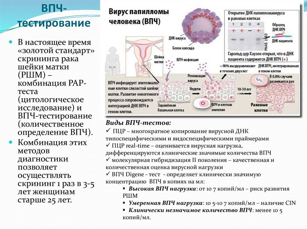 Вирус папилломы 16 типа