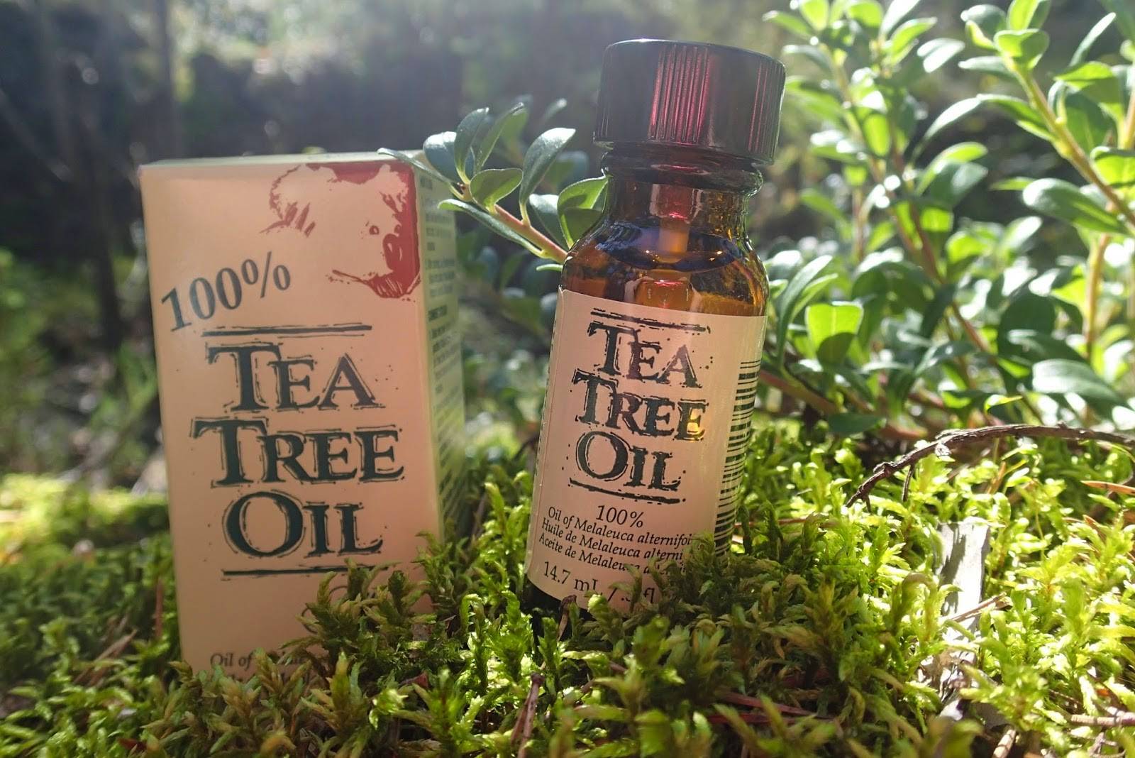 Помогает ли масло чайного дерева от папиллом?