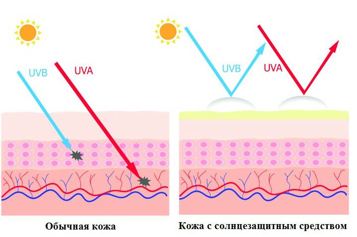 Как солнце влияет на кожу, защитные средства для кожи лица
