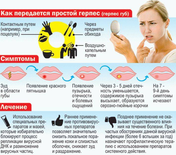 Как передается генитальный герпес и сколько дней заразен? | pro-herpes.ru