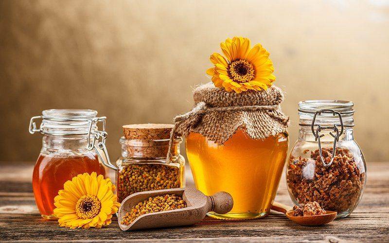 Продукты пчеловодства очень ценятся в народной медицине