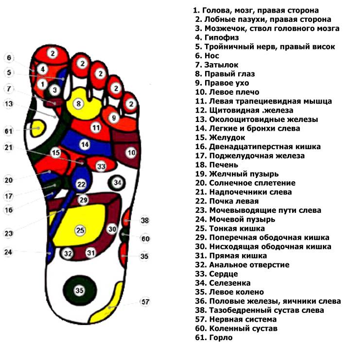 Активные точки на стопах ног: правила массажа в домашних условиях