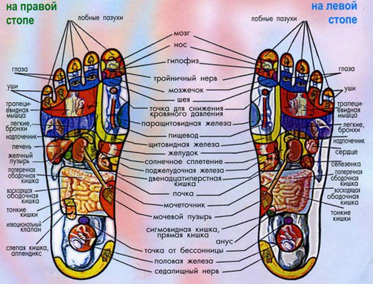 Активные точки на стопах ног, отвечающие за органы человека - знать про все