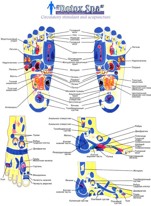 Акупунктура стопы человека | схема точек на стопе для лечения всего организма