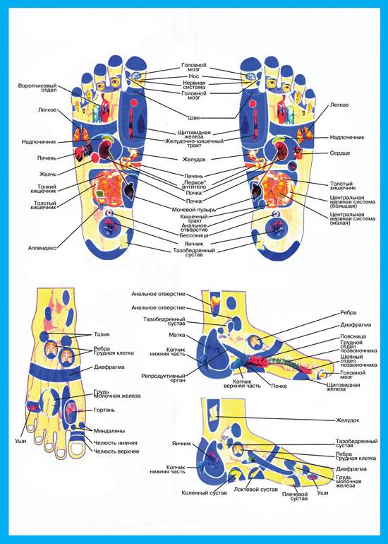 Активные точки на стопах ног, отвечающие за органы человека - знать про все