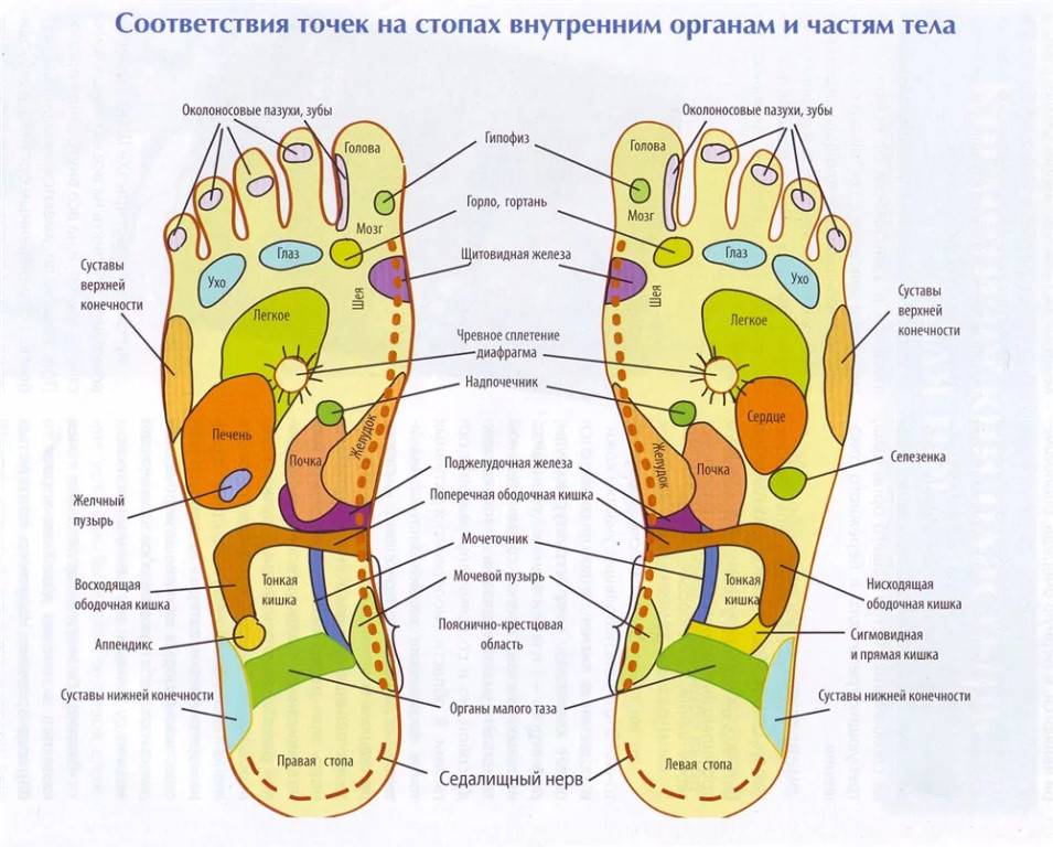 Активные точки на стопах ног: правила массажа в домашних условиях