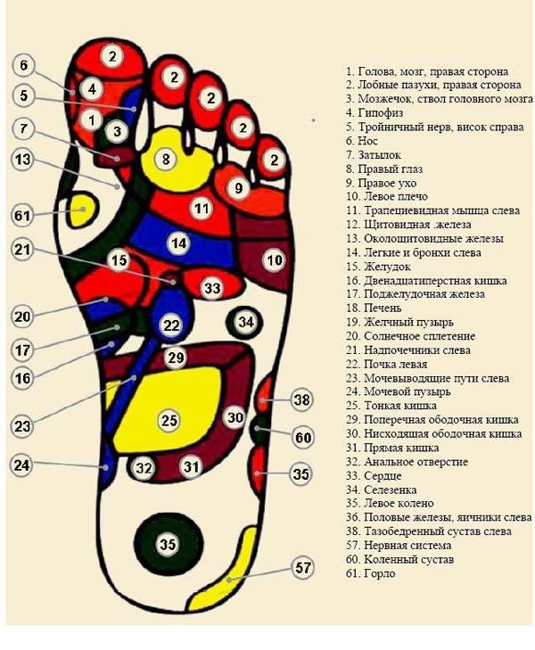 Акупунктура стопы человека | схема точек на стопе для лечения всего организма