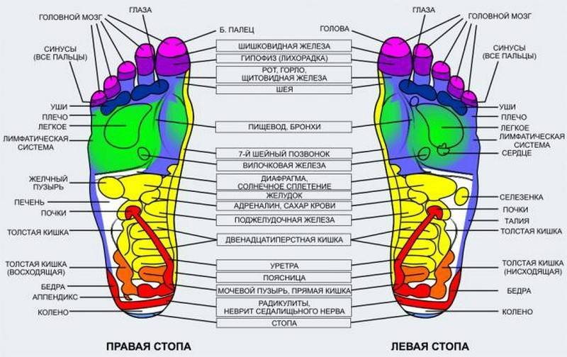 Активные точки на стопах ног, отвечающие за органы человека - женская жизньженская жизнь