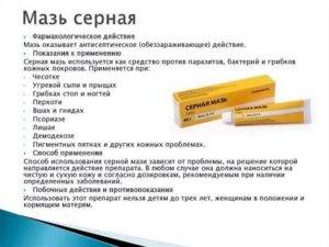 Самая эффективная мазь от чесотки: быстрое лечение инфекции у человека - 103help.ru