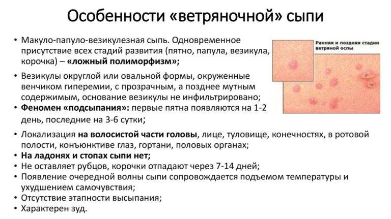 Вирусный дерматит у детей и взрослых: фото, симптомы и лечение - dermatit.su