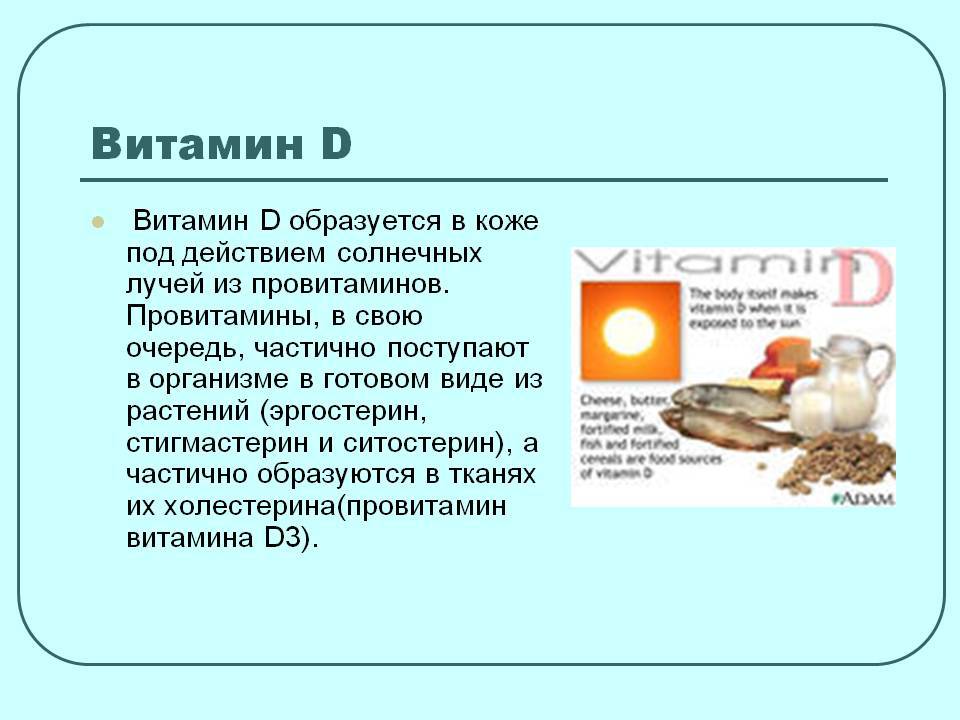 Вырабатывается ли витамин