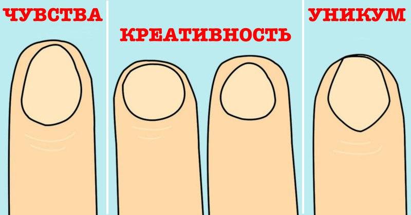 О чем говорит форма ногтей. Круглая форма ногтей у мужчин. Форма ногтей расскажет о характере. О чем говорят ногти.
