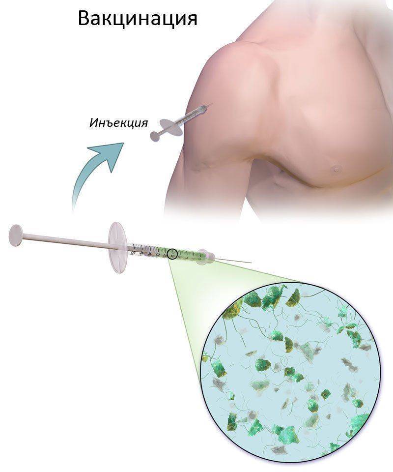 Вакцина против герпеса отзывы thumbnail