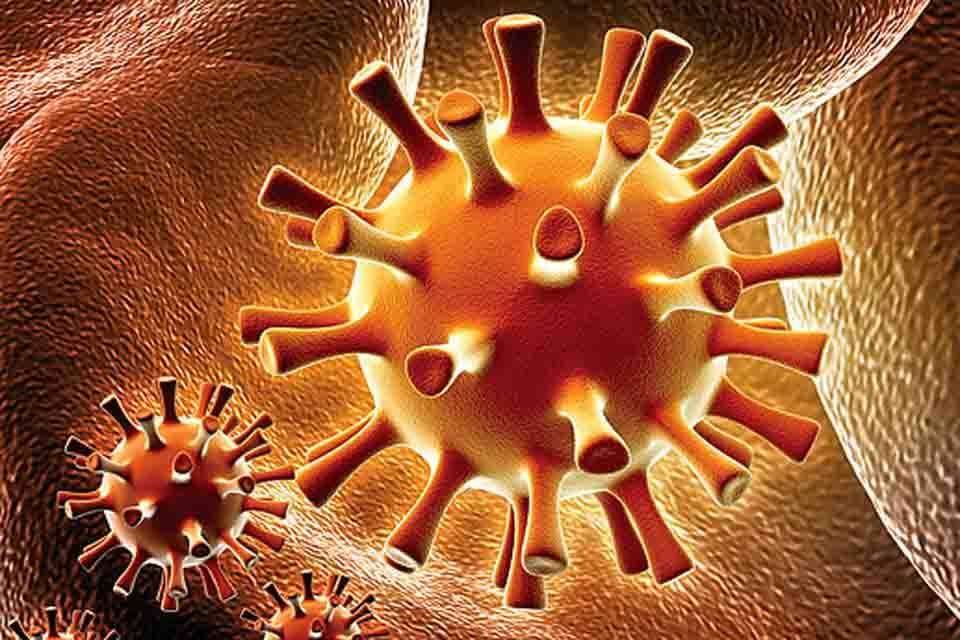 Герпес: виды и типы, почему появляется вирус герпеса, симптомы и лечение у взрослых