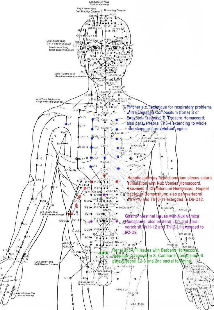 Точки на руке, отвечающие за органы: схема расположения, акупунктурный лечебный массаж