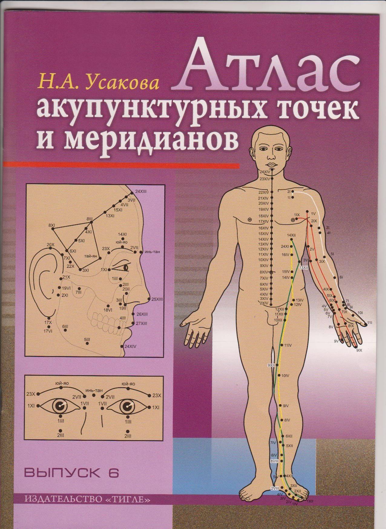 Точки акупунктуры на теле человека. атлас, фото, как делать точечный массаж